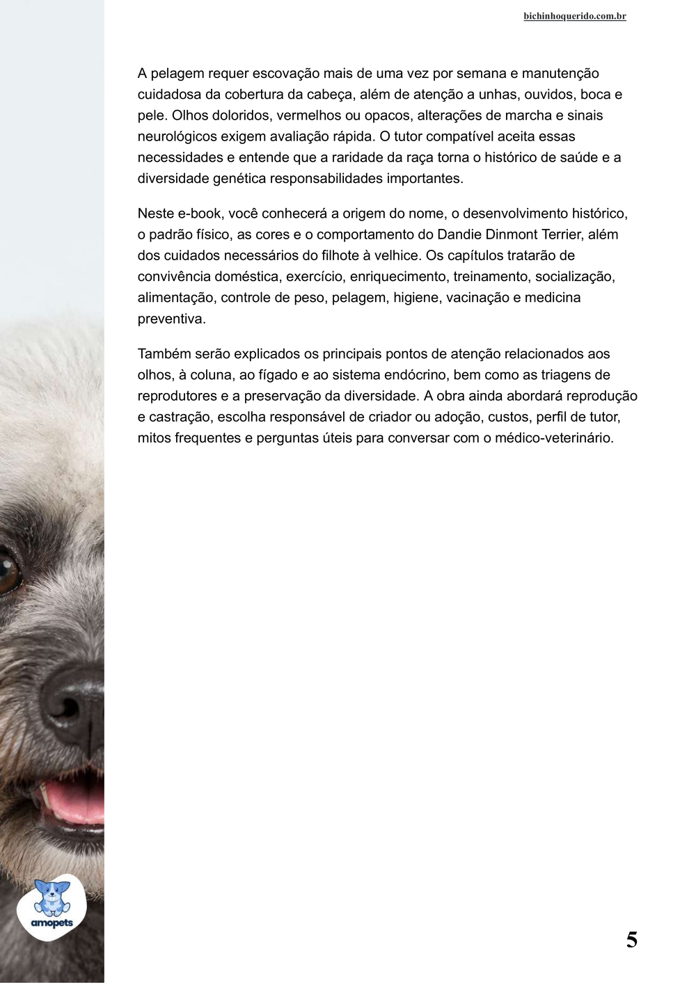 continuação da introdução do e-book Guia de Como Cuidar do Dandie Dinmont Terrier