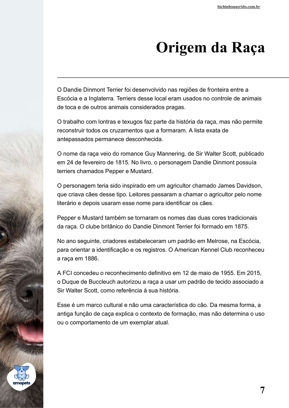 origem da raça no e-book Guia de Como Cuidar do Dandie Dinmont Terrier