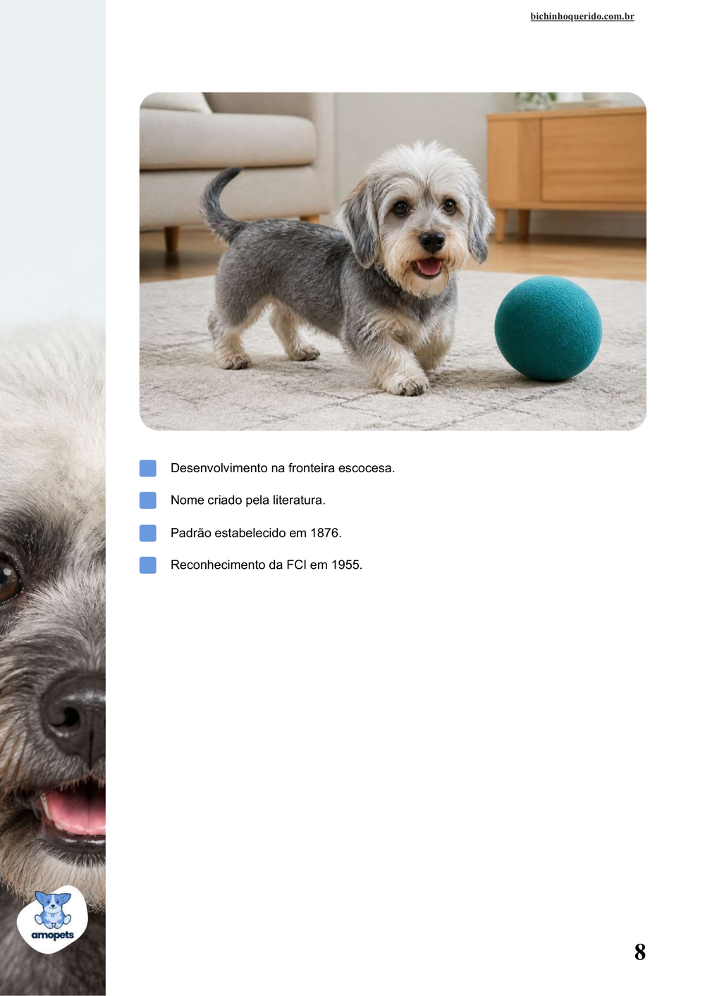 características do Dandie Dinmont Terrier no e-book Guia de Como Cuidar do Dandie Dinmont Terrier