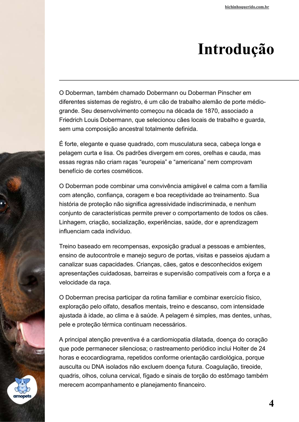 introdução do e-book Guia de Como Cuidar do Doberman