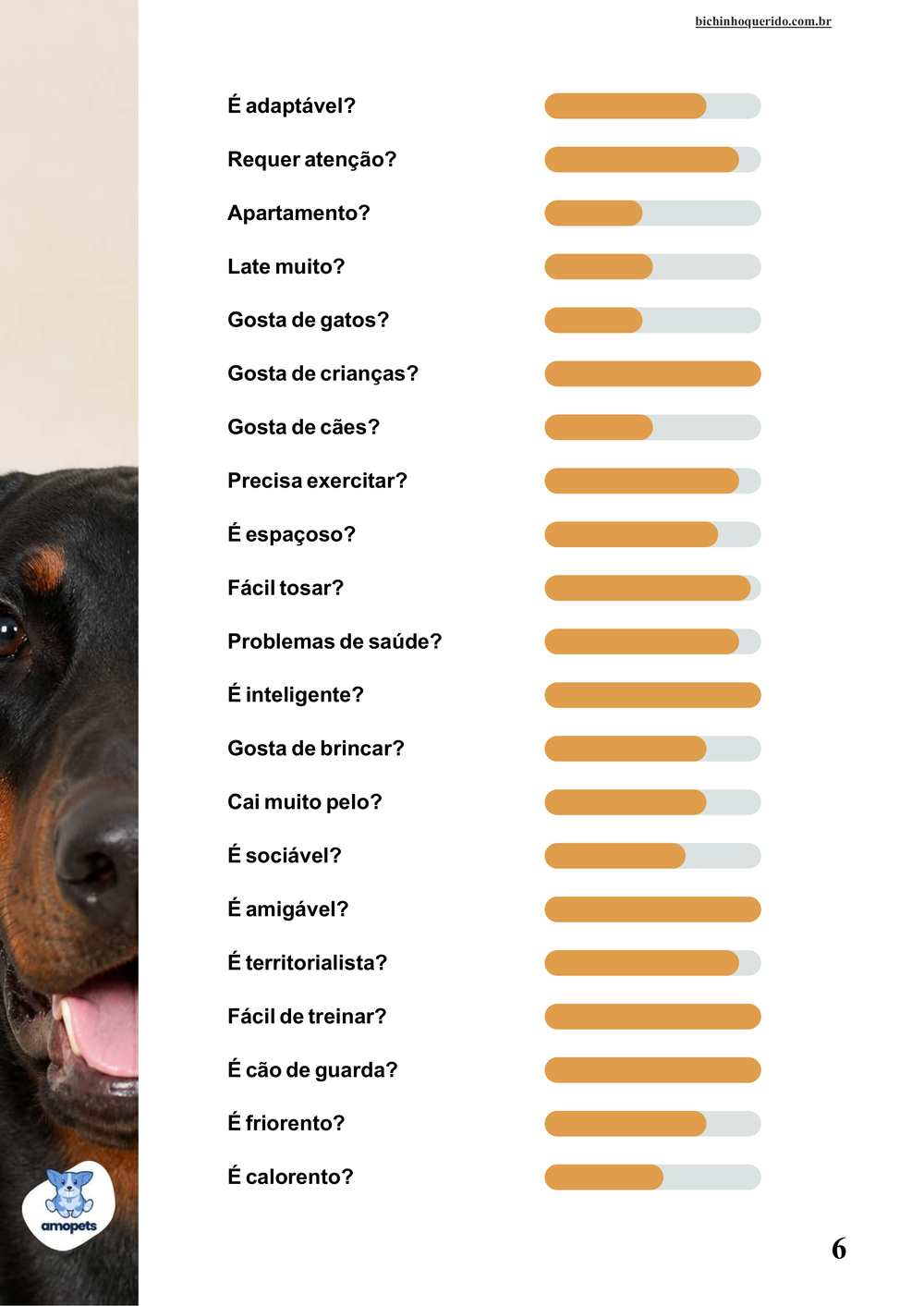 perfil da raça no e-book Guia de Como Cuidar do Doberman
