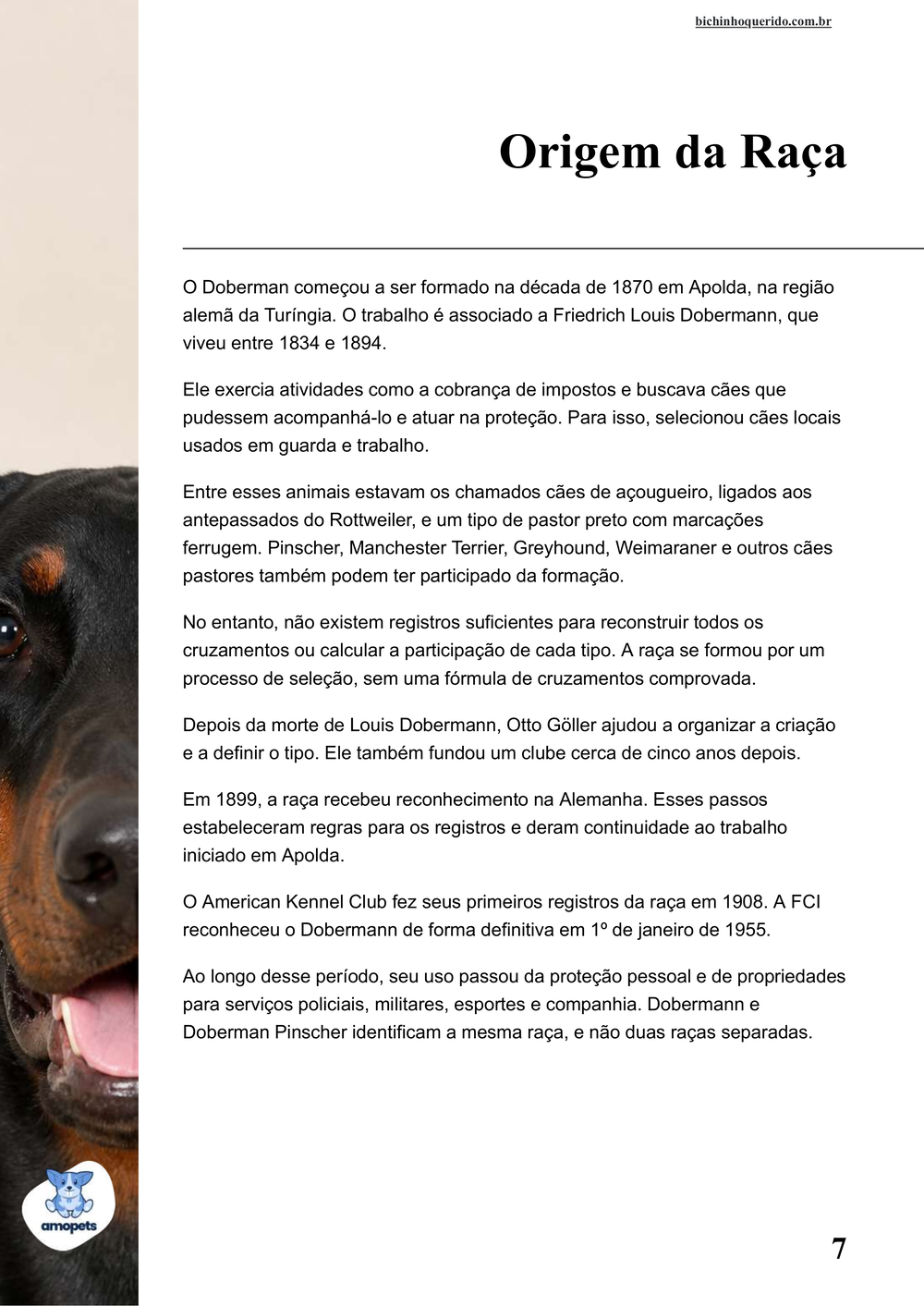 origem da raça no e-book Guia de Como Cuidar do Doberman