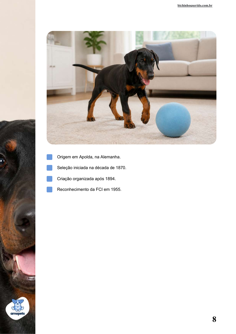 características do Doberman no e-book Guia de Como Cuidar do Doberman