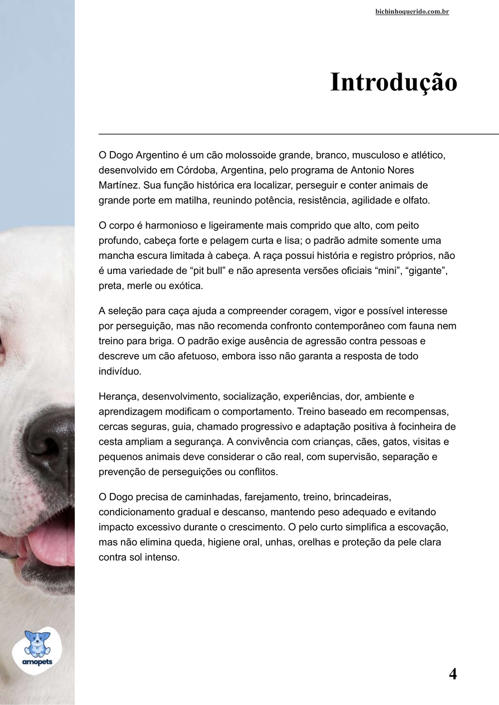 introdução do e-book Guia de Como Cuidar do Dogo Argentino