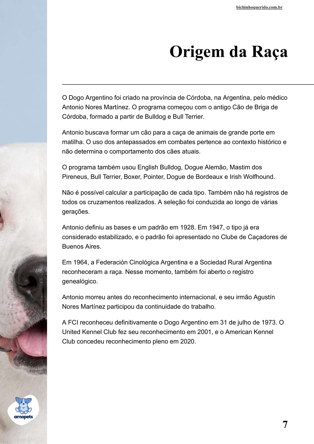 origem da raça no e-book Guia de Como Cuidar do Dogo Argentino