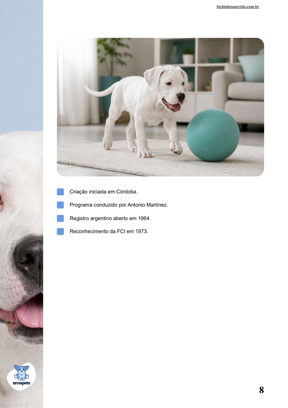 características do Dogo Argentino no e-book Guia de Como Cuidar do Dogo Argentino