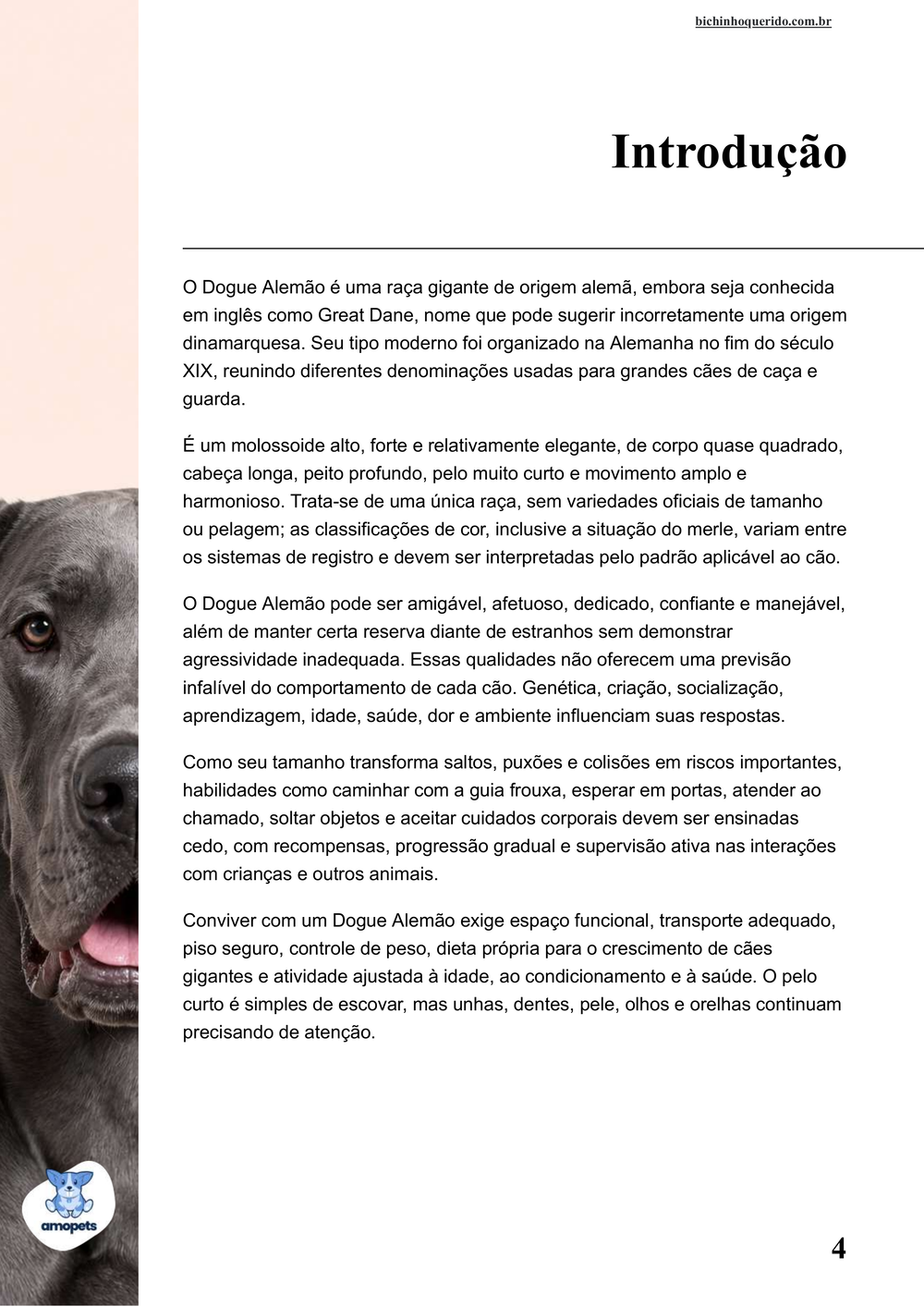 introdução do e-book Guia de Como Cuidar do Dogue Alemão