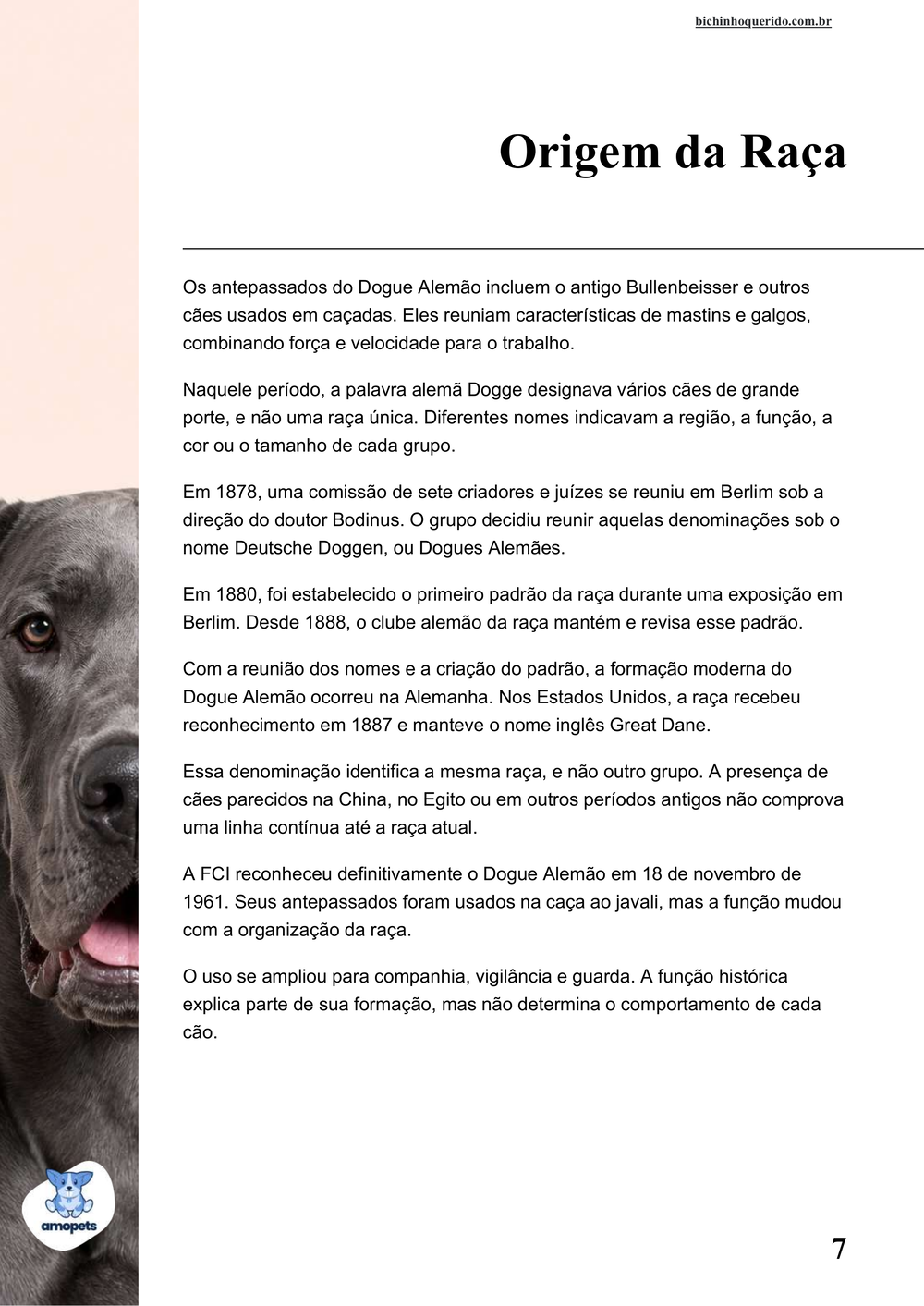 origem da raça no e-book Guia de Como Cuidar do Dogue Alemão