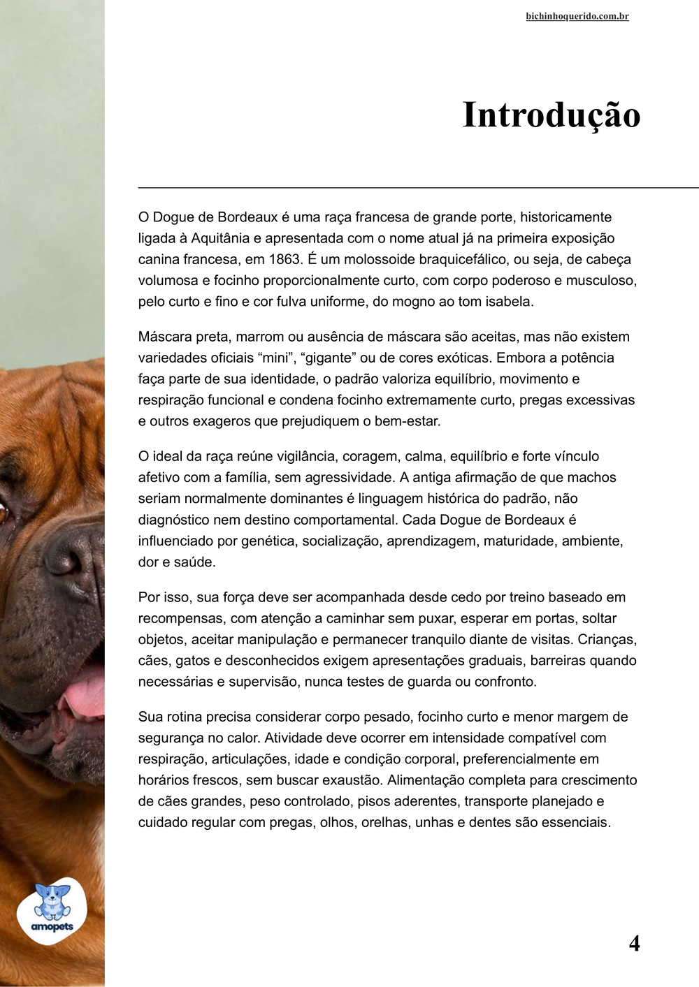 introdução do e-book Guia de Como Cuidar do Dogue de Bordeaux