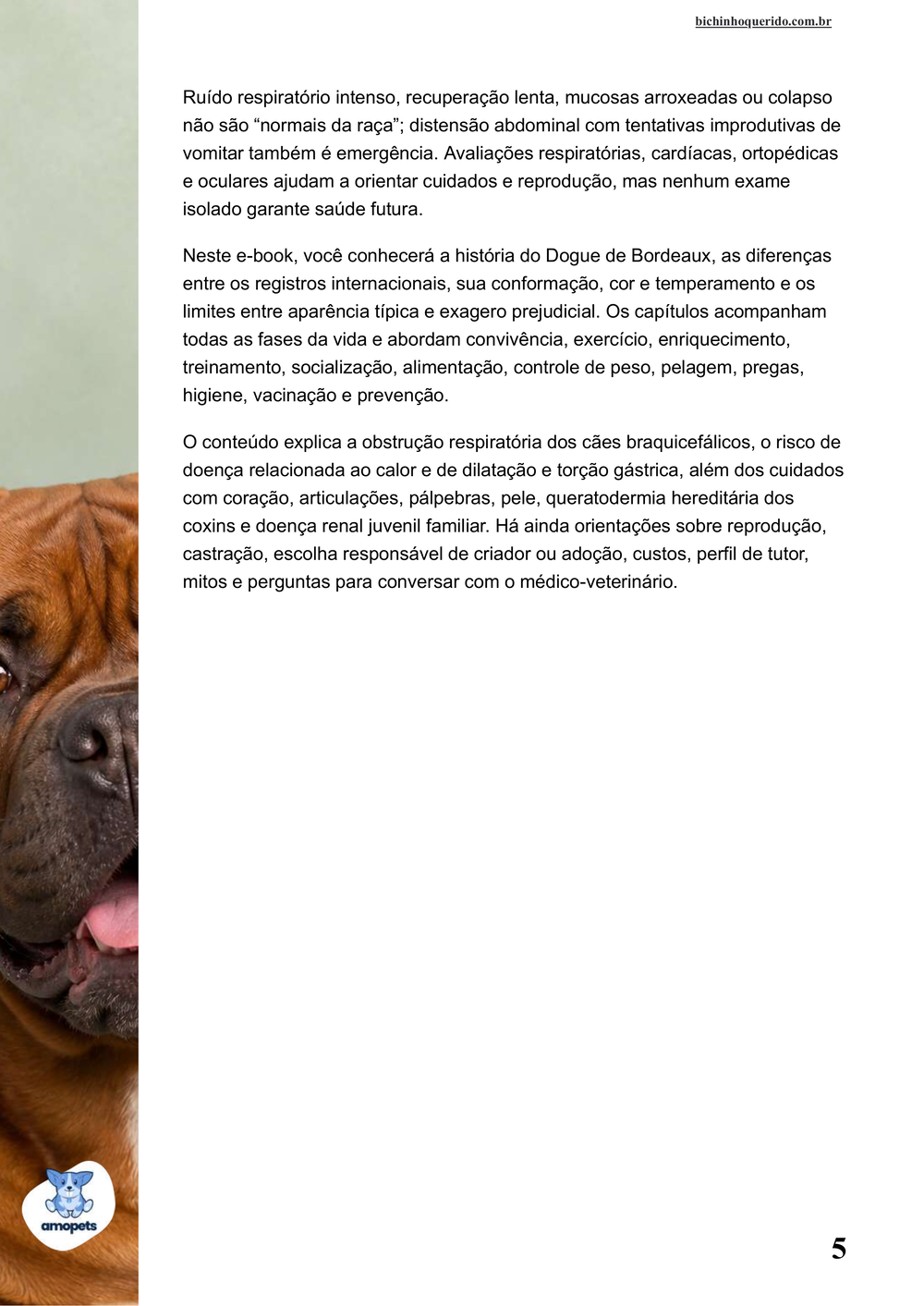 continuação da introdução do e-book Guia de Como Cuidar do Dogue de Bordeaux