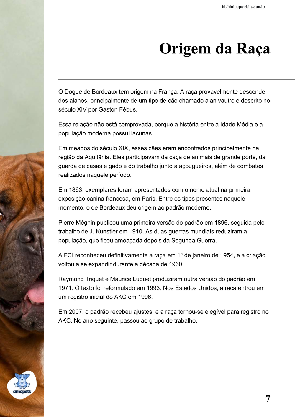 origem da raça no e-book Guia de Como Cuidar do Dogue de Bordeaux