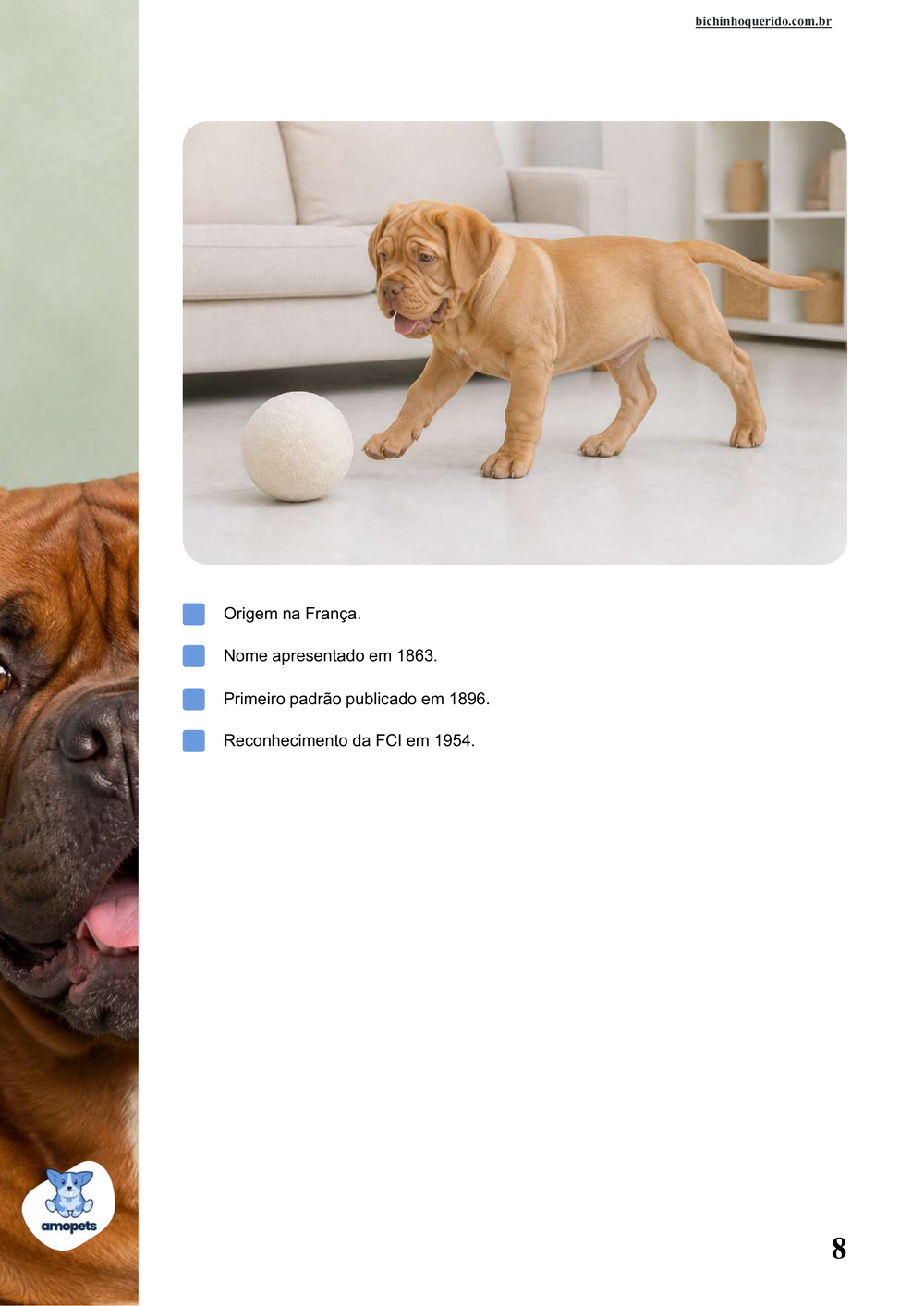 características do Dogue de Bordeaux no e-book Guia de Como Cuidar do Dogue de Bordeaux