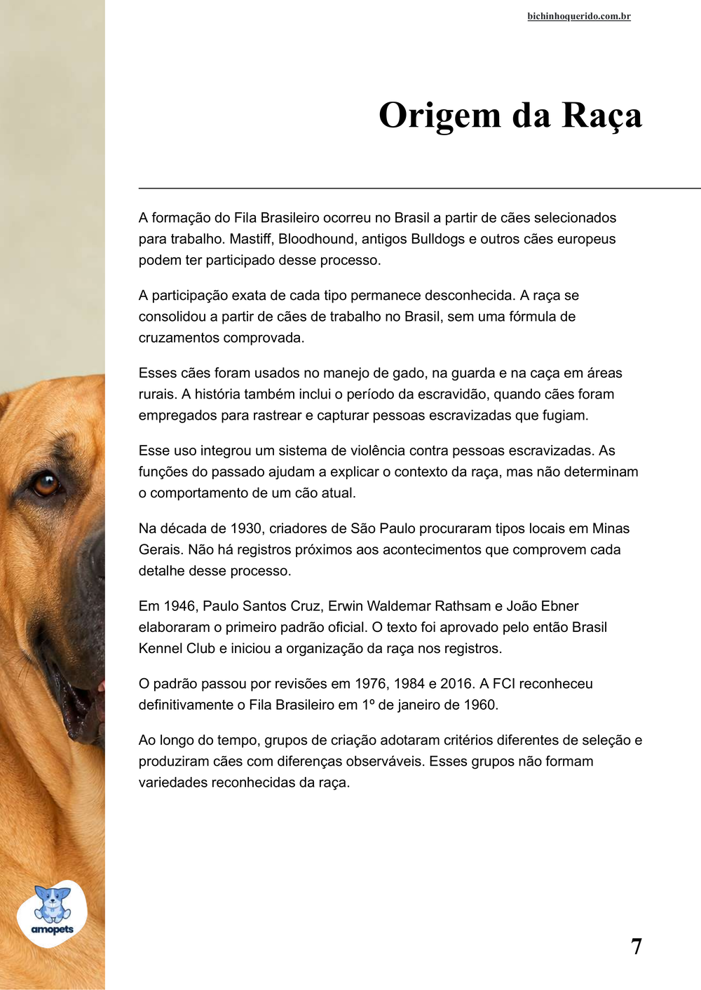 origem da raça no e-book Guia de Como Cuidar do Fila Brasileiro