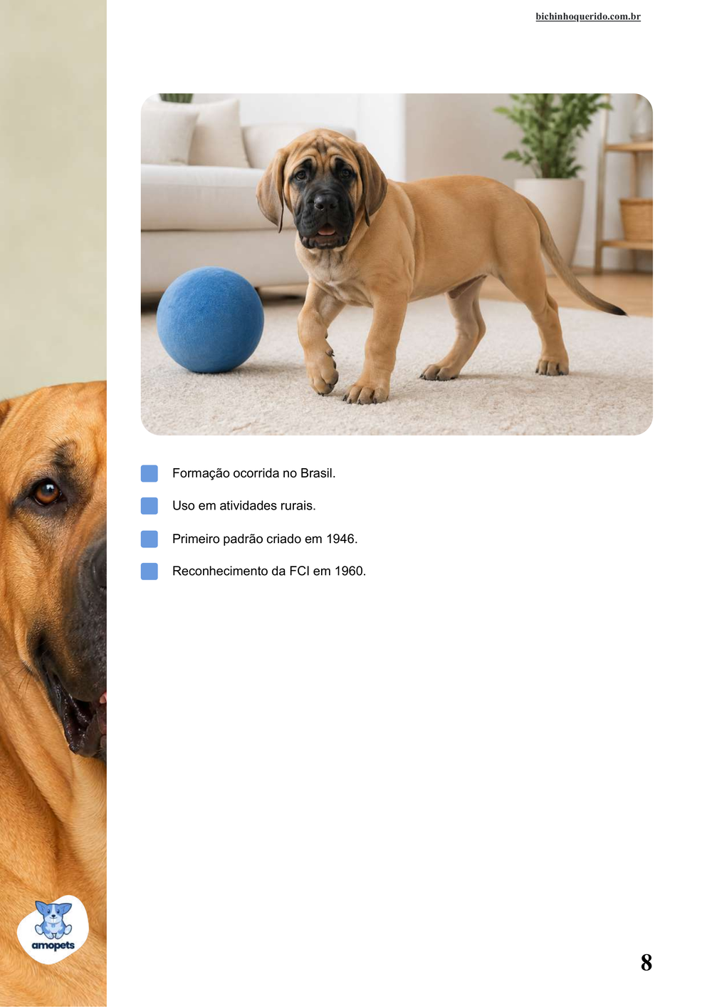 características do Fila Brasileiro no e-book Guia de Como Cuidar do Fila Brasileiro