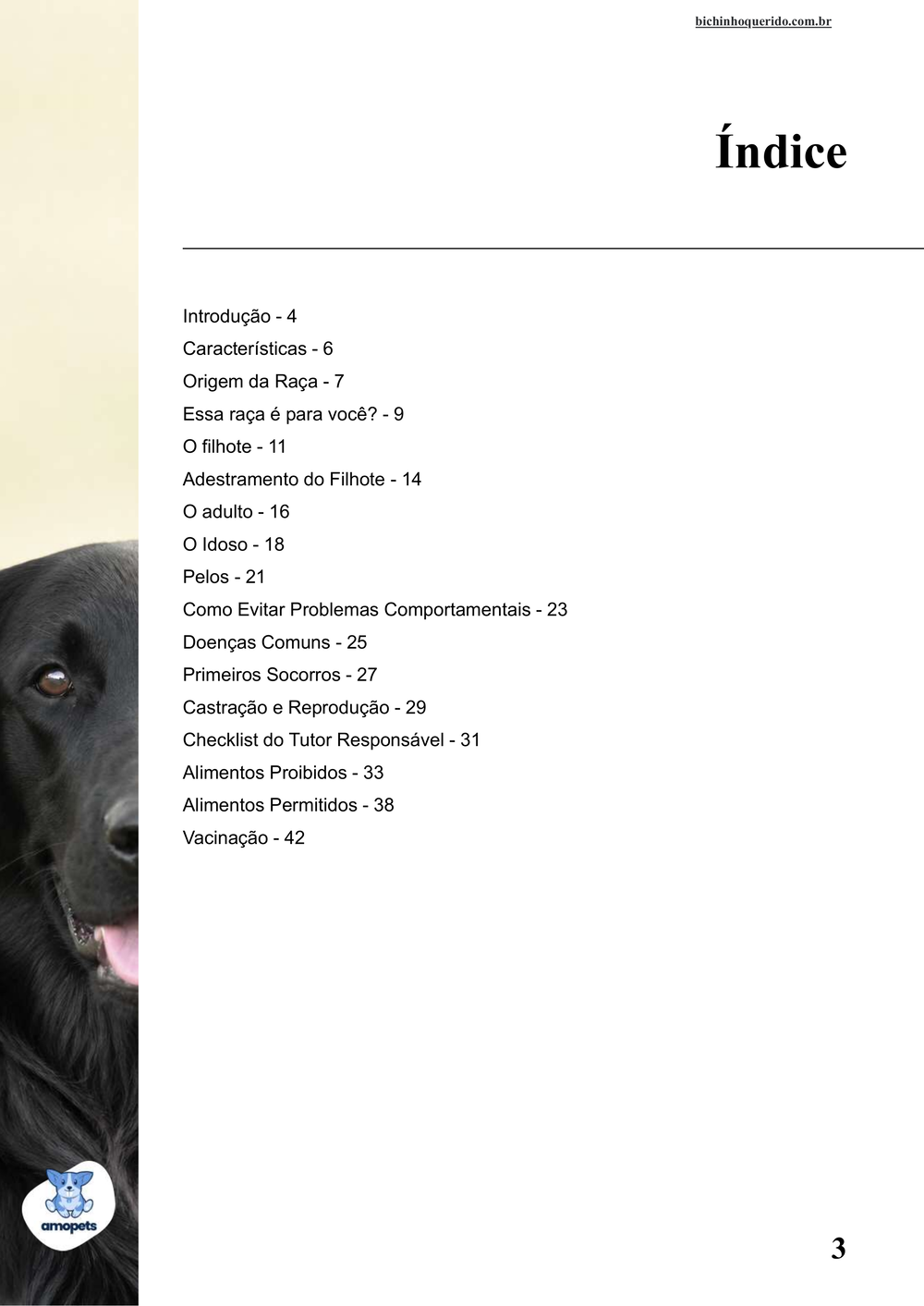 índice do e-book Guia de Como Cuidar do Flat-Coated Retriever