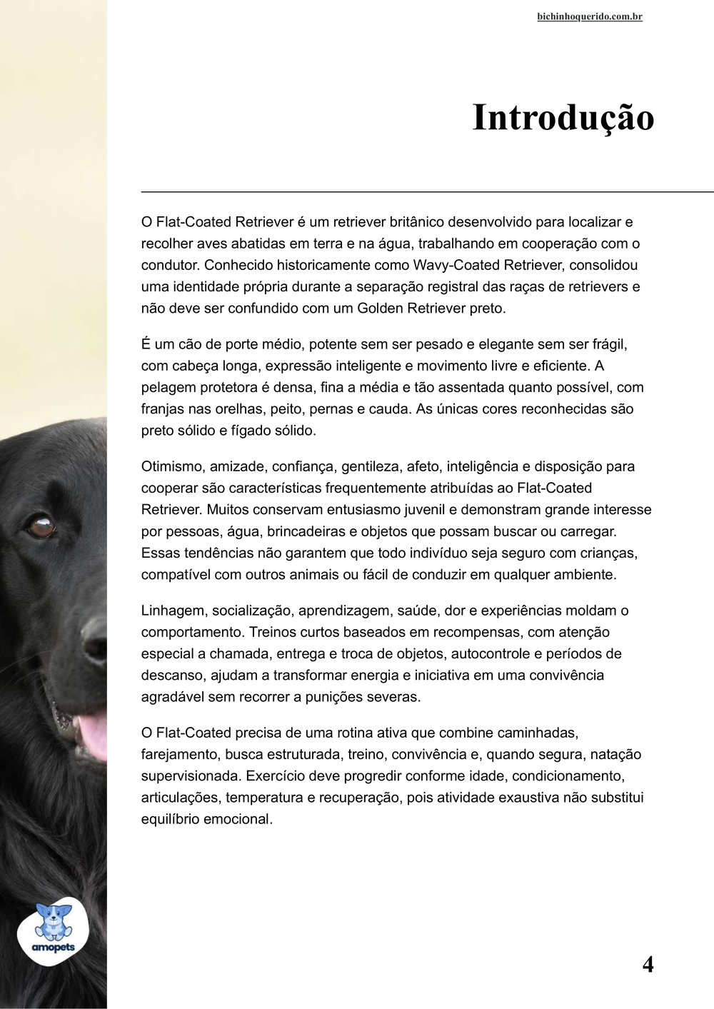 introdução do e-book Guia de Como Cuidar do Flat-Coated Retriever