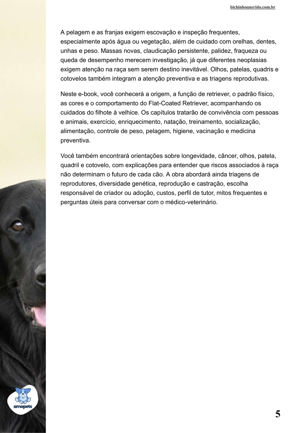 continuação da introdução do e-book Guia de Como Cuidar do Flat-Coated Retriever