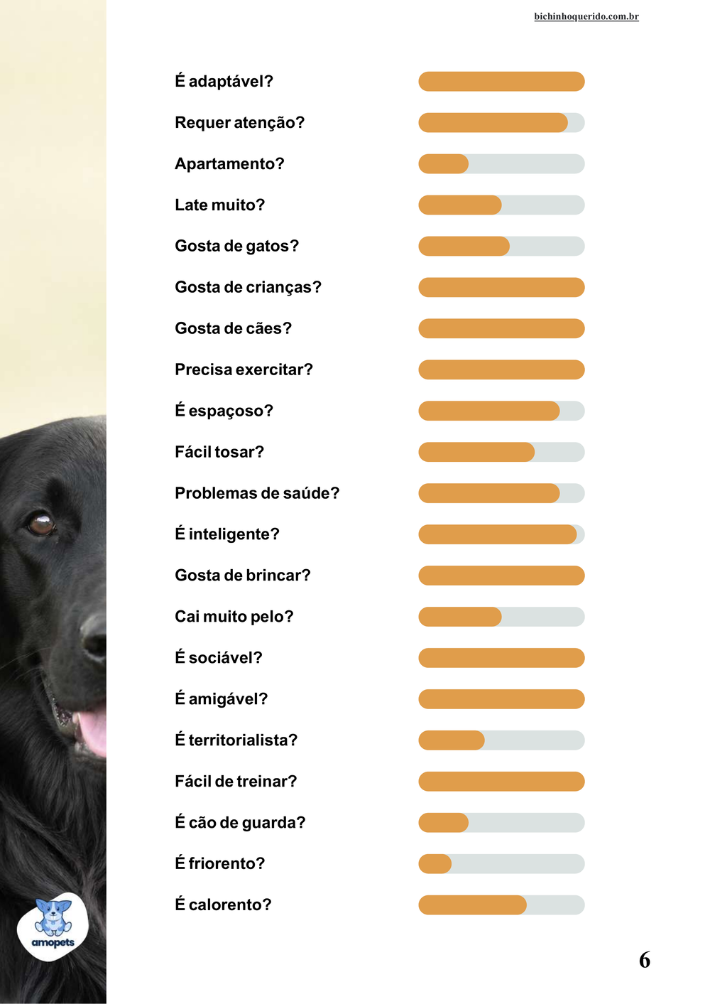 perfil da raça no e-book Guia de Como Cuidar do Flat-Coated Retriever