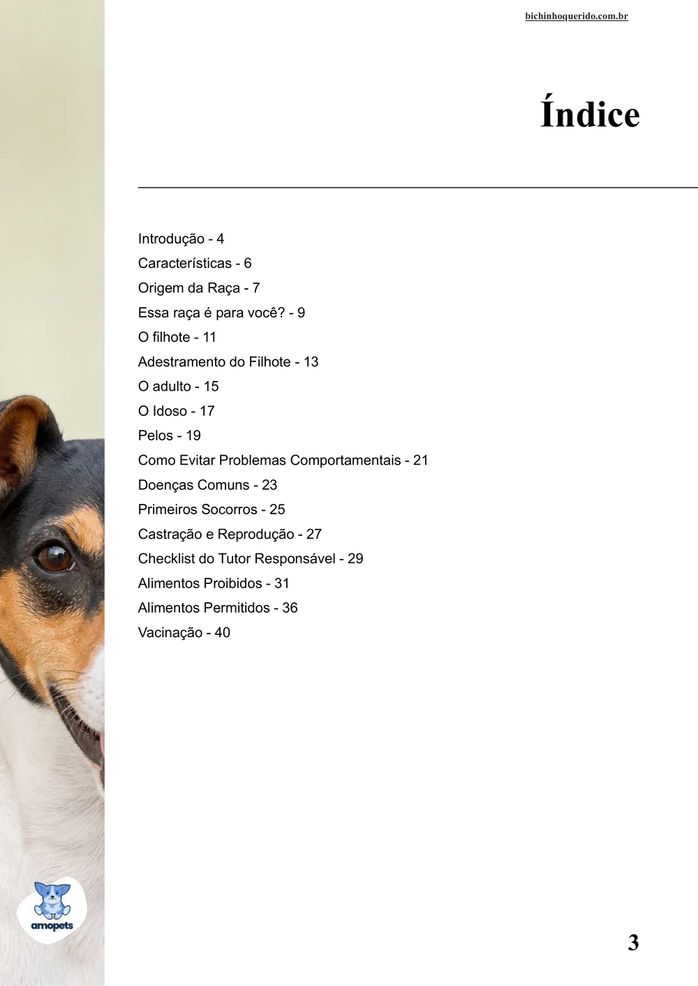 índice do e-book Guia de Como Cuidar do Fox Paulistinha
