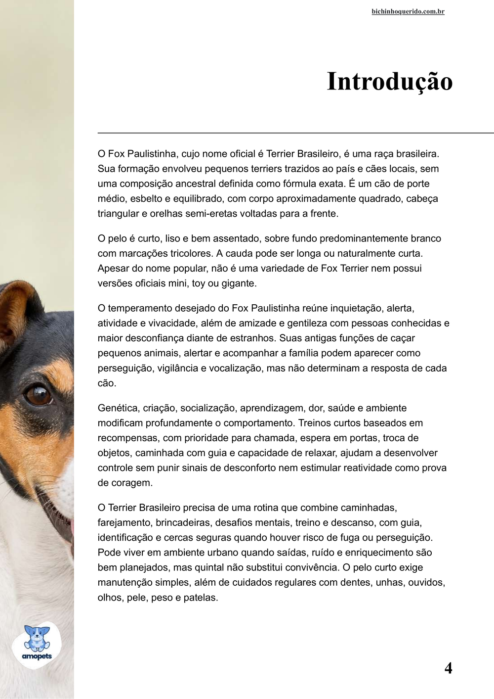 introdução do e-book Guia de Como Cuidar do Fox Paulistinha