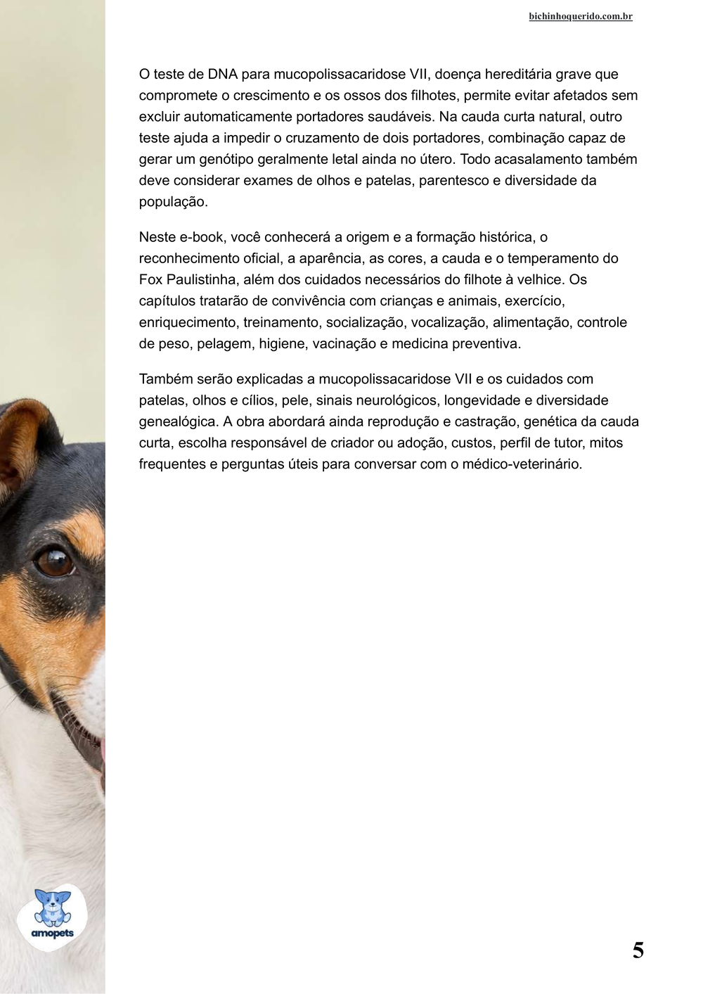 continuação da introdução do e-book Guia de Como Cuidar do Fox Paulistinha