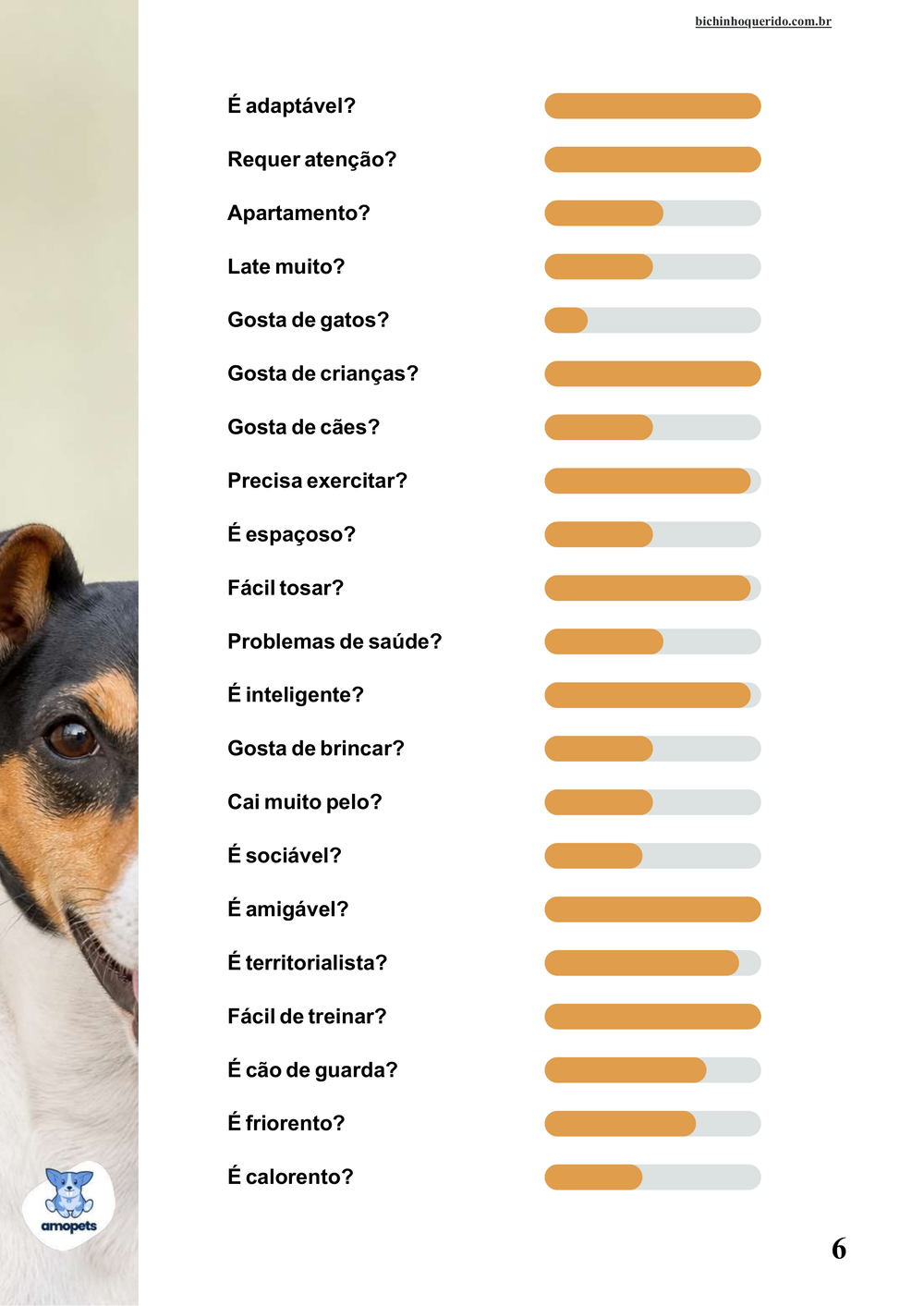 perfil da raça no e-book Guia de Como Cuidar do Fox Paulistinha