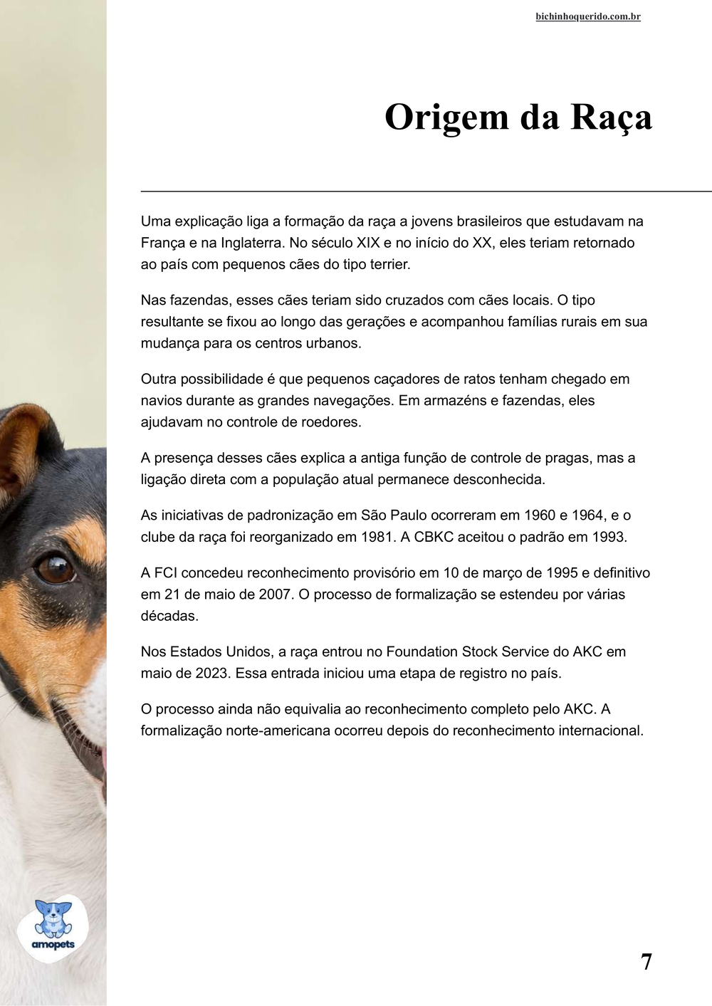 origem da raça no e-book Guia de Como Cuidar do Fox Paulistinha