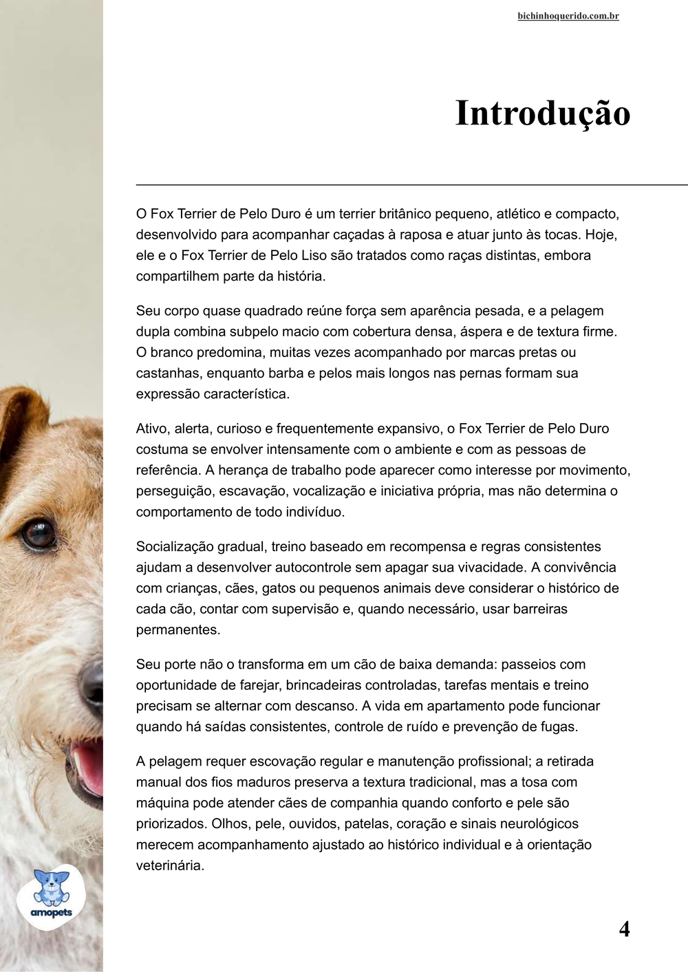 introdução do e-book Guia de Como Cuidar do Fox Terrier de Pelo Duro