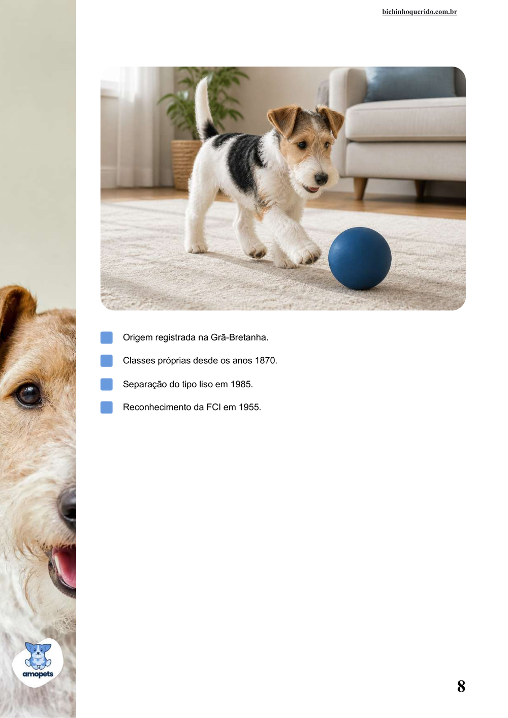 características do Fox Terrier de Pelo Duro no e-book Guia de Como Cuidar do Fox Terrier de Pelo Duro