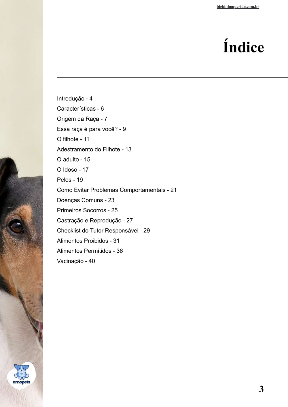 índice do e-book Guia de Como Cuidar do Fox Terrier de Pelo Liso