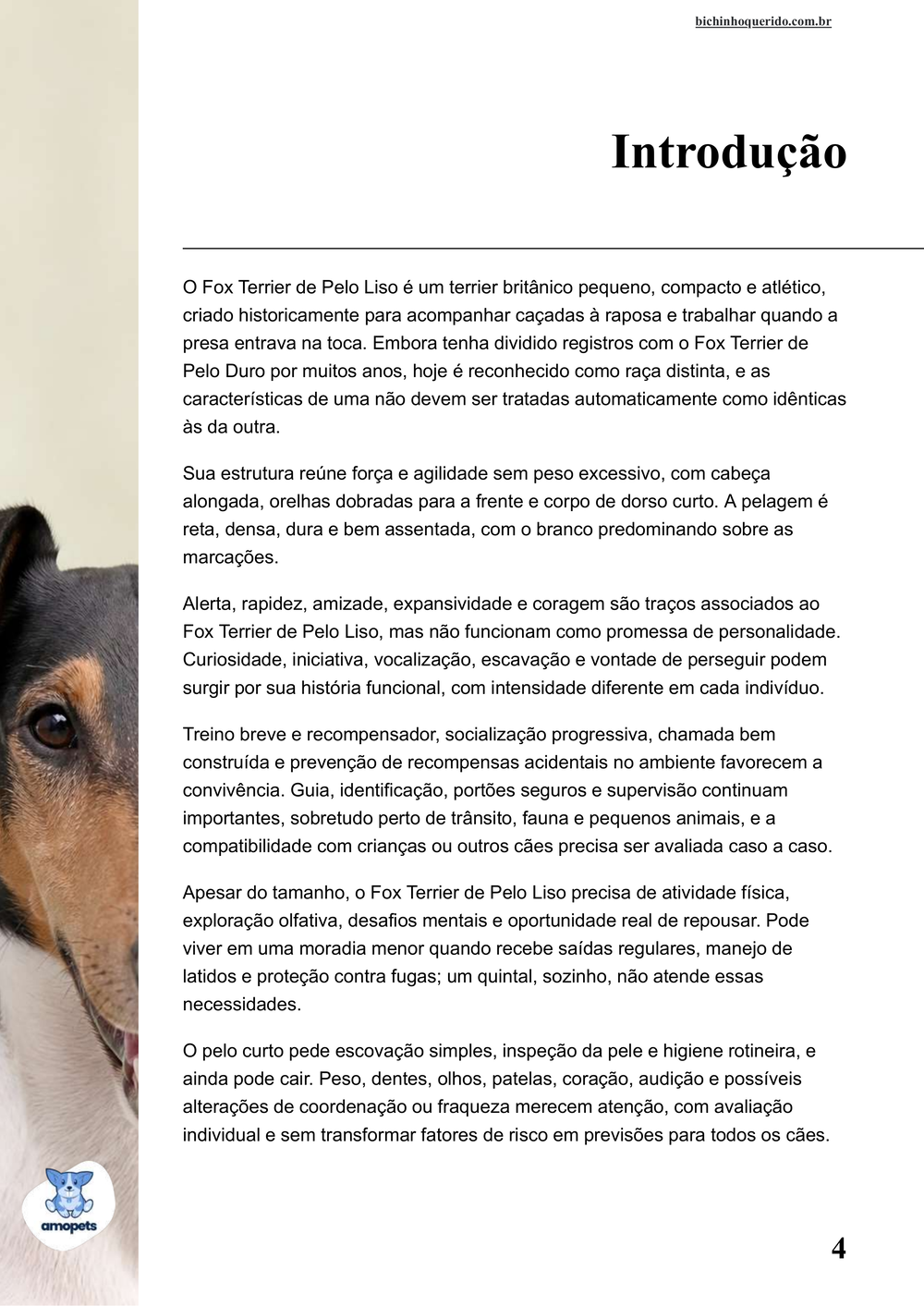 introdução do e-book Guia de Como Cuidar do Fox Terrier de Pelo Liso