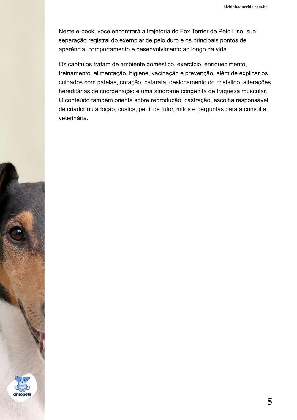 continuação da introdução do e-book Guia de Como Cuidar do Fox Terrier de Pelo Liso