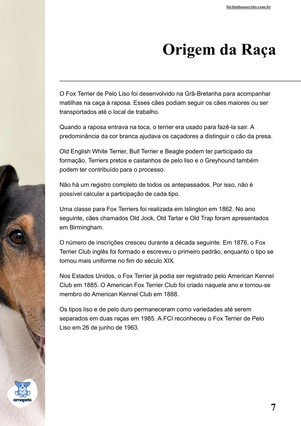 origem da raça no e-book Guia de Como Cuidar do Fox Terrier de Pelo Liso