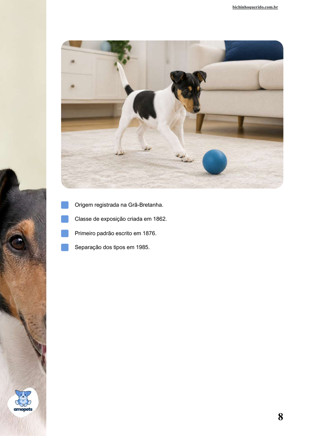 características do Fox Terrier de Pelo Liso no e-book Guia de Como Cuidar do Fox Terrier de Pelo Liso
