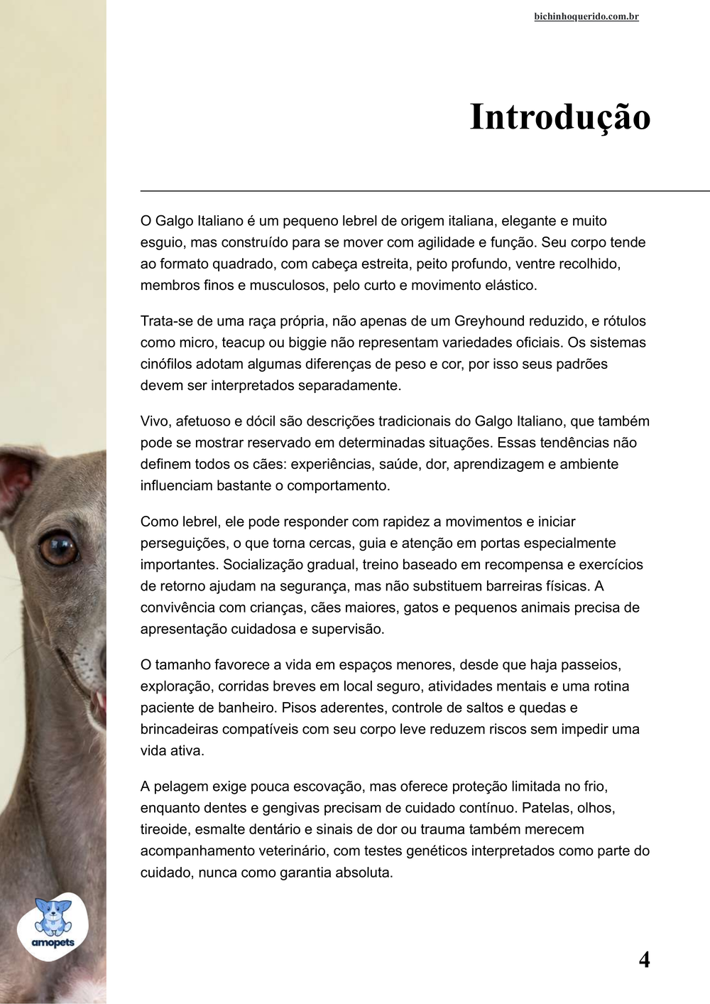 introdução do e-book Guia de Como Cuidar do Galgo Italiano