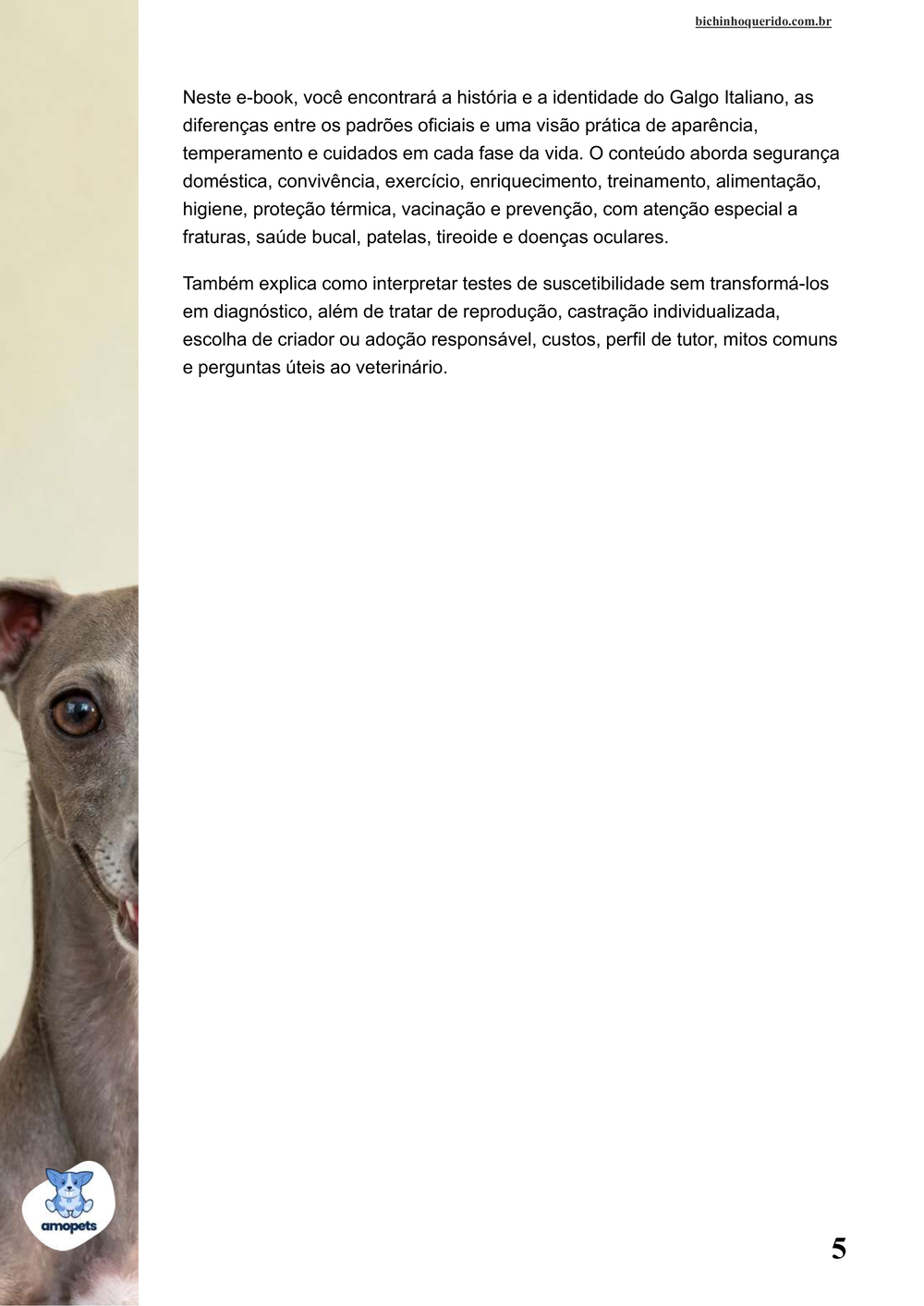 continuação da introdução do e-book Guia de Como Cuidar do Galgo Italiano