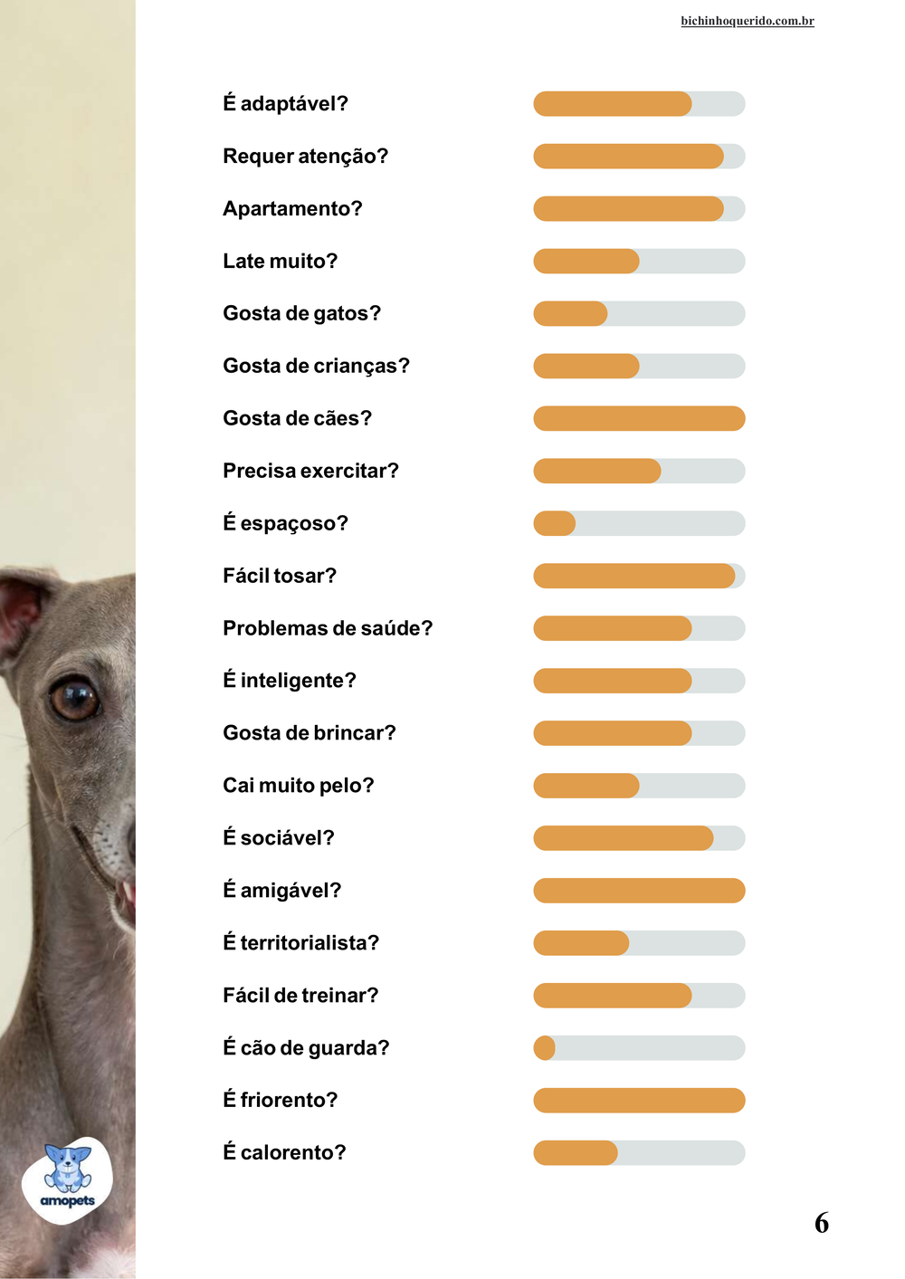 perfil da raça no e-book Guia de Como Cuidar do Galgo Italiano