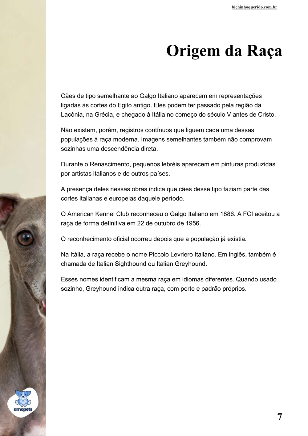 origem da raça no e-book Guia de Como Cuidar do Galgo Italiano
