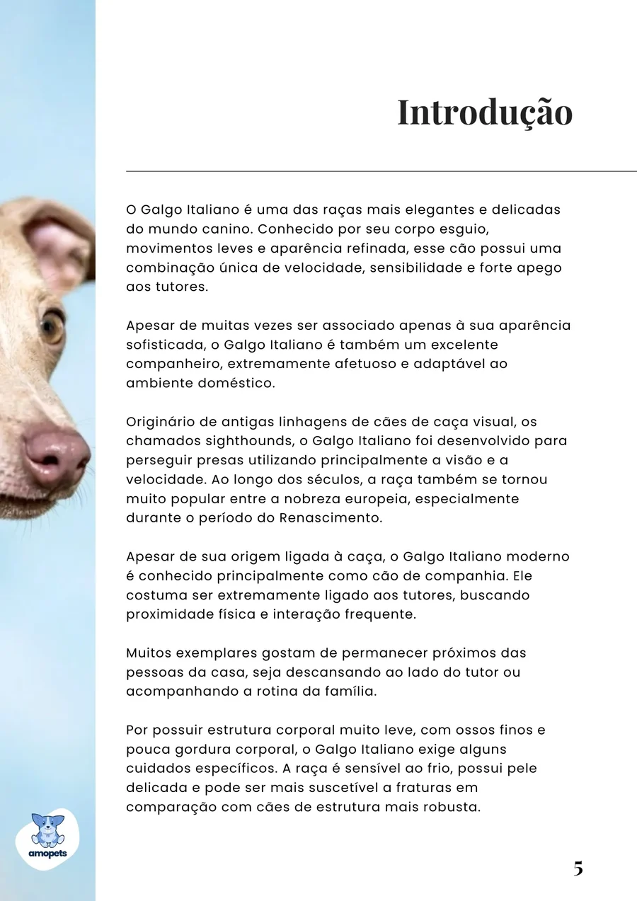 página interna do e-book Guia de Como Cuidar do Galgo Italiano