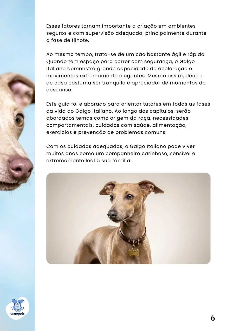 página interna do e-book Guia de Como Cuidar do Galgo Italiano
