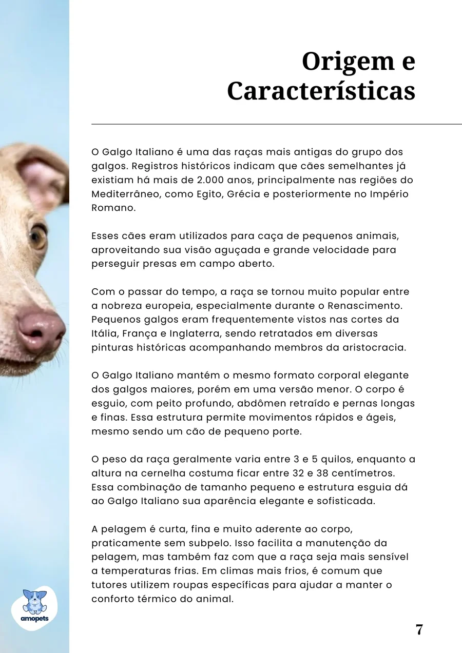 página interna do e-book Guia de Como Cuidar do Galgo Italiano