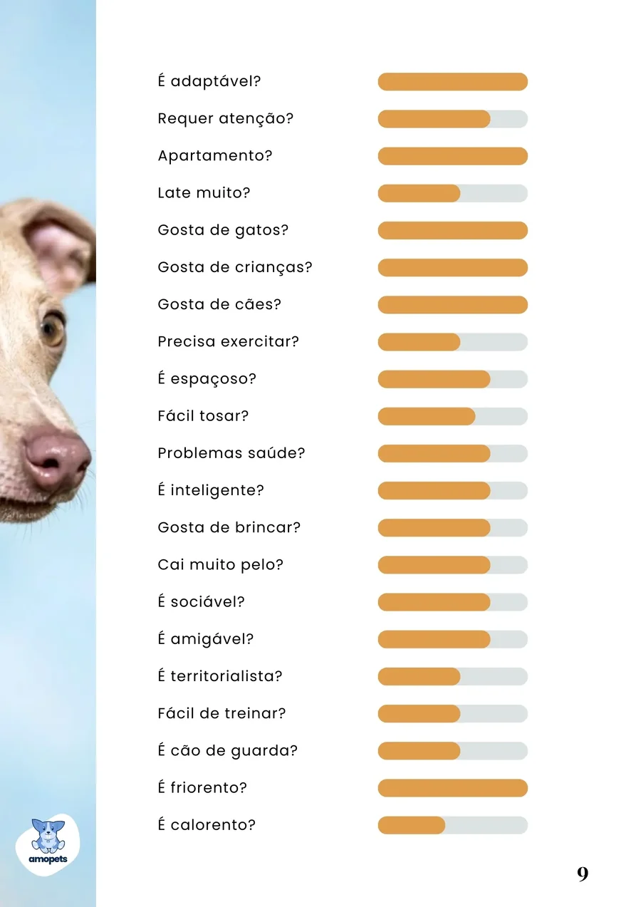 página interna do e-book Guia de Como Cuidar do Galgo Italiano