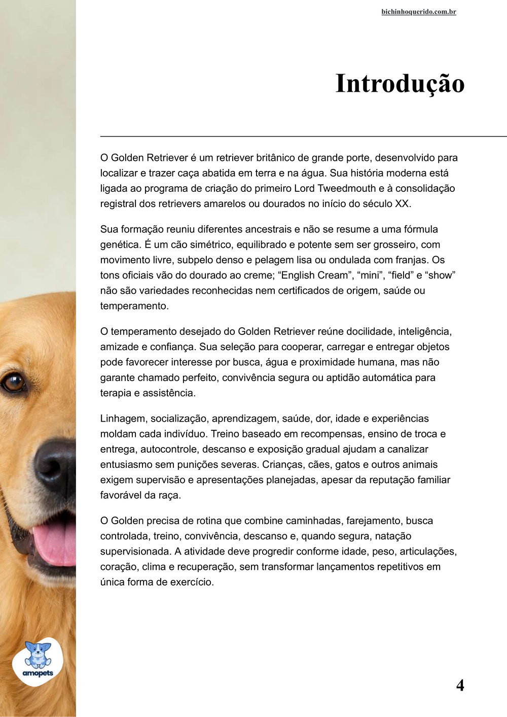 introdução do e-book Guia de Como Cuidar do Golden Retriever