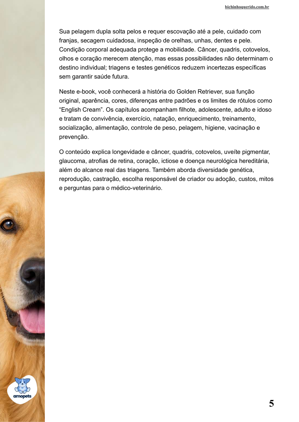 continuação da introdução do e-book Guia de Como Cuidar do Golden Retriever