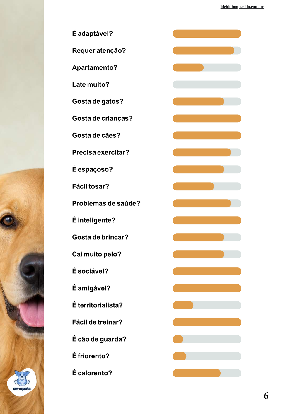 perfil da raça no e-book Guia de Como Cuidar do Golden Retriever