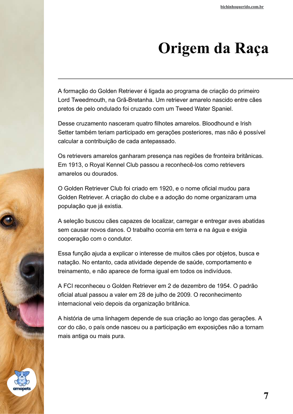 origem da raça no e-book Guia de Como Cuidar do Golden Retriever