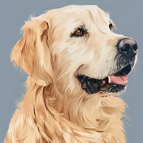 ícone tenha um golden retriever saudável