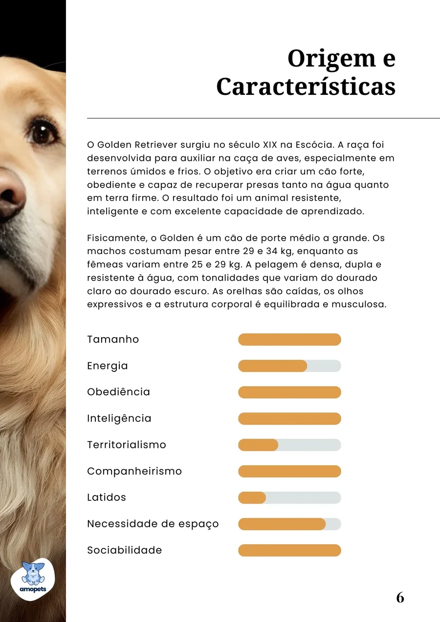 página interna do e-book Guia de Como Cuidar do Golden Retriever