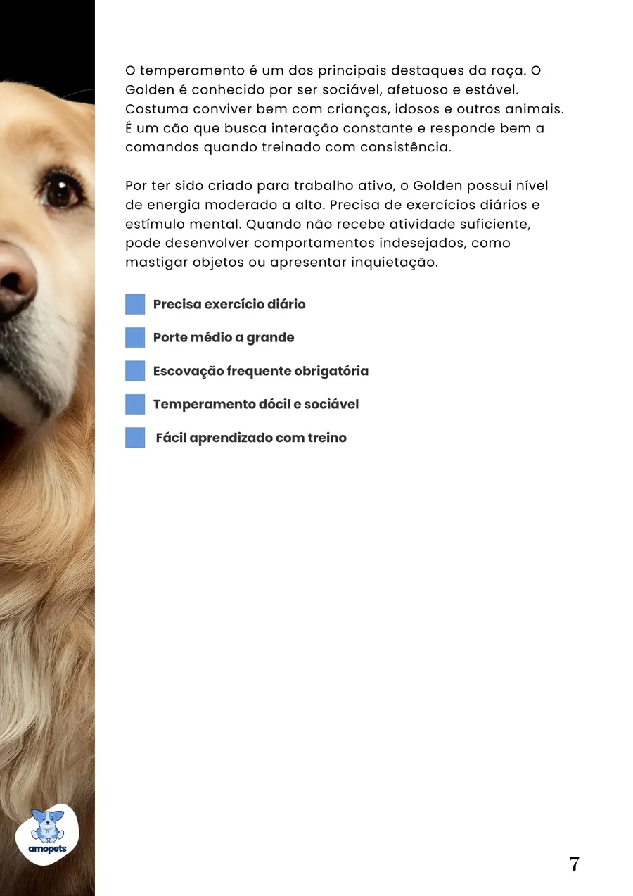 página interna do e-book Guia de Como Cuidar do Golden Retriever