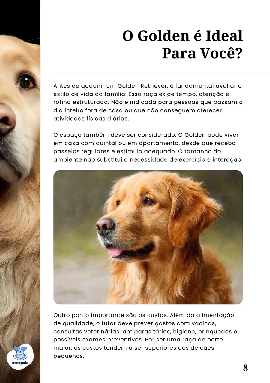 página interna do e-book Guia de Como Cuidar do Golden Retriever